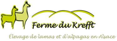 Logo Ferme du Krefft  - élevage de lamas et d'alpagas en Alsace